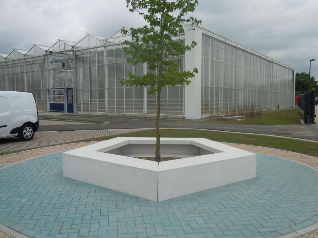 Ses Vanderhave Entree – Boomranden