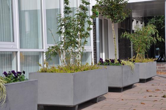Gemeenschapshuis – plantenbakken