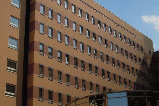 UMC Sint-Pieter Campus Hallepoort – Sierlateien in imitatie blauwsteen beton