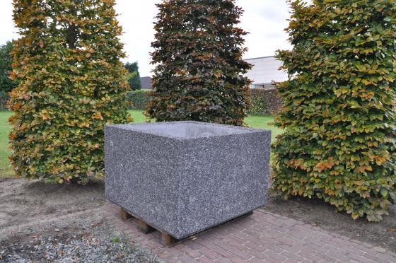 XL-Boombakken gewassen sierbeton
