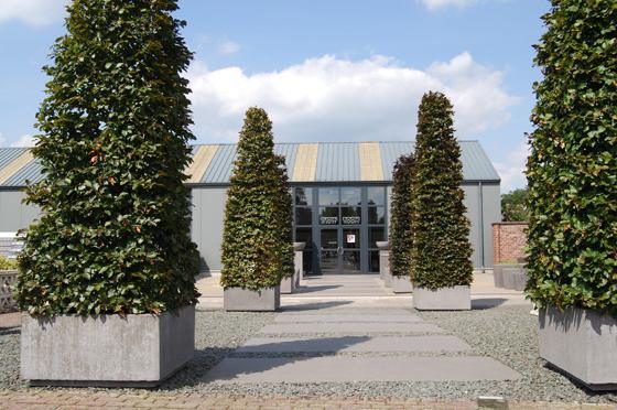 Boombakken in beton